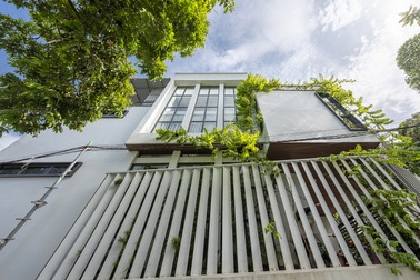 Nhà tại Phú Thọ trên lô đất 90m2 nhưng xây lên trông vẫn rộng rãi, xanh mát