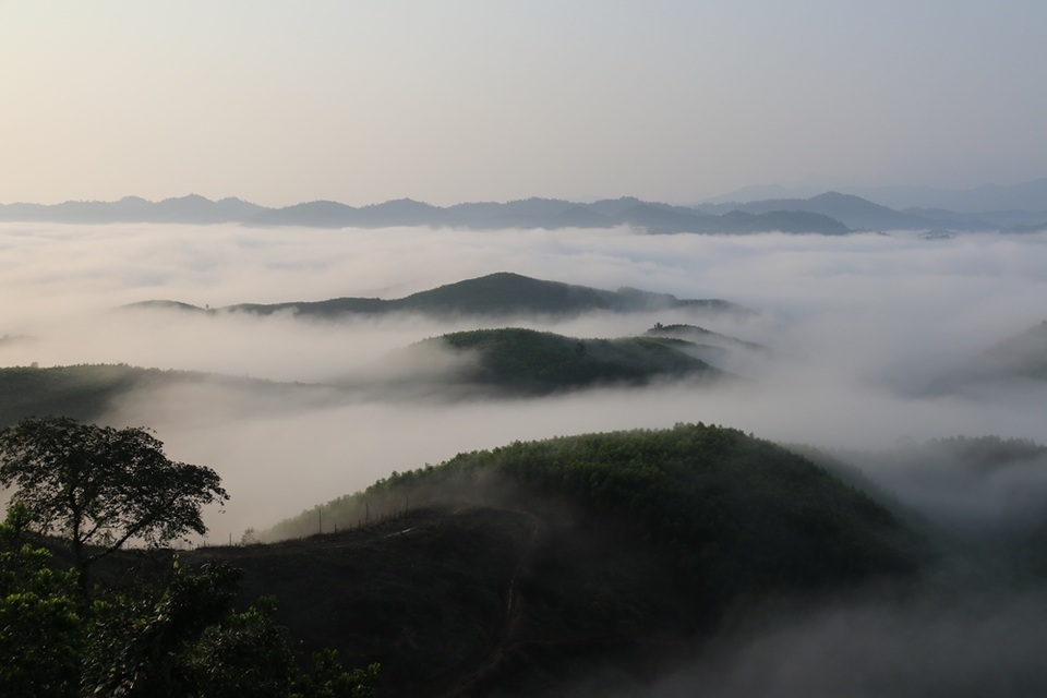 Mây giăng kín như bồng lai tiên cảnh trên đỉnh Giăng Màn - 1 Mây giăng kín như bồng lai tiên cảnh trên đỉnh Giăng Màn - 1