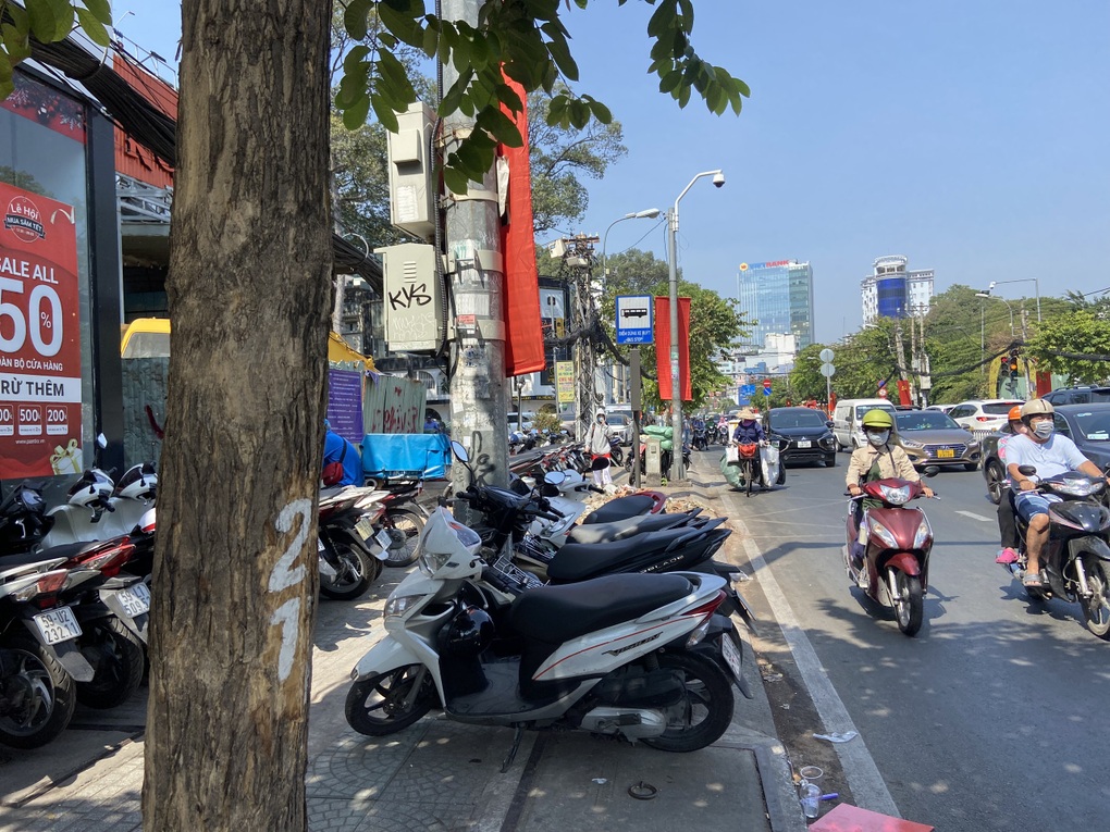 Hy hữu chặt nhầm cây sọ khỉ ở ga metro số 2 - 2 Hy hữu chặt nhầm cây sọ khỉ ở ga metro số 2 - 2