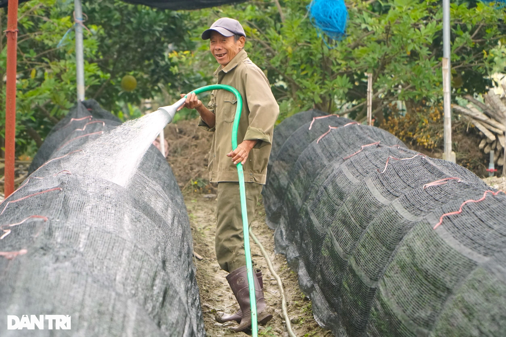 Nông dân vùng trồng hoa lớn nhất xứ Thanh tất bật vụ Tết - 10 Nông dân vùng trồng hoa lớn nhất xứ Thanh tất bật vụ Tết - 10