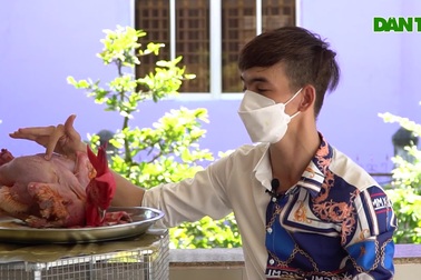 Chú gà "triệu view" da trắng hồng, ngủ mùng, có sở thích sang chảnh