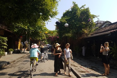 Mặn xâm nhập, thành phố Hội An “khát nước”