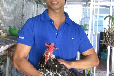 Kỹ sư điện tử bỏ về quê nuôi chim, gà độc, lạ, thu hàng trăm/năm