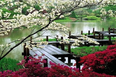 Nghỉ dưỡng phong cách thiền Nhật Bản – Tìm nơi an dưỡng cho tâm hồn