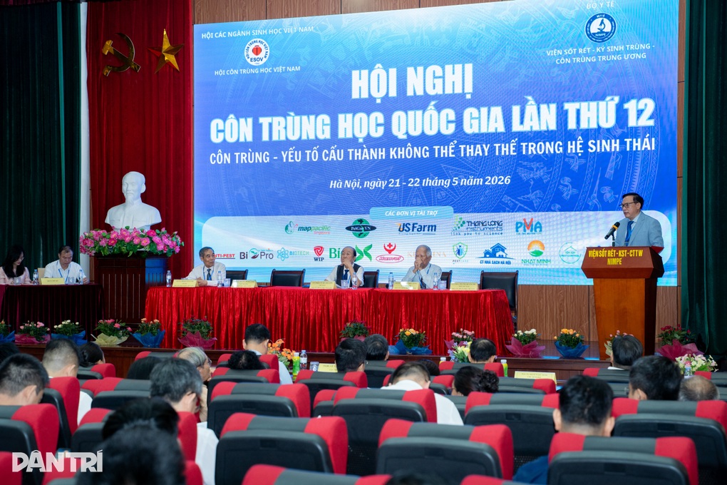 Nghề lạ: Ngồi chuồng bò, làm mồi nhử muỗi để chống dịch - 1 Nghề lạ: Ngồi chuồng bò, làm mồi nhử muỗi để chống dịch - 1