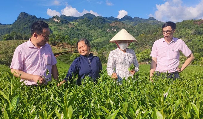 Trên 4.800 lượt hộ gia đình được thụ hưởng tín dụng chính sách trong 6 tháng đầu năm