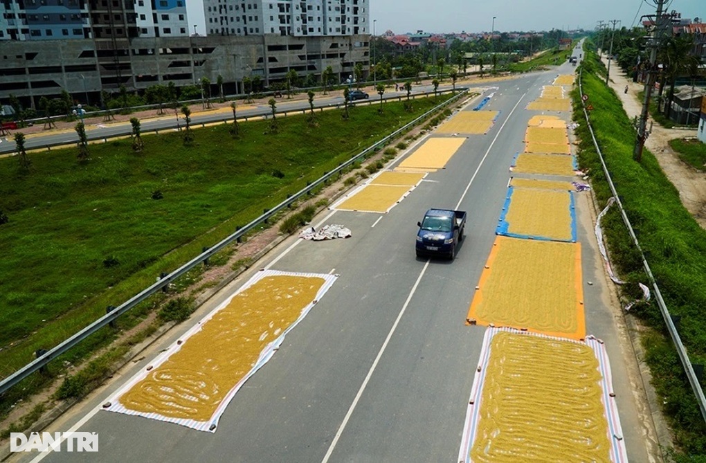 Nữ sinh 15 tuổi chết vì đống thóc giữa đường, bắt đền ai? - 1 Nữ sinh 15 tuổi chết vì đống thóc giữa đường, bắt đền ai? - 1