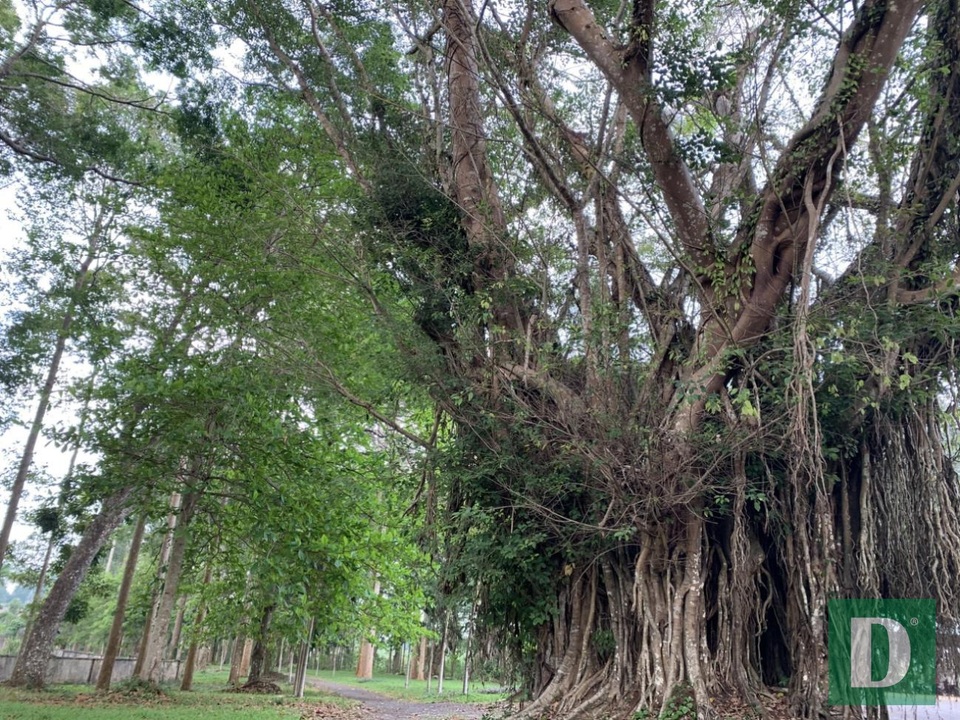 Đà Lạt miền Đông bị lãng quên - 7