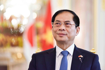 Bộ trưởng Ngoại giao nêu 3 ưu tiên hợp tác Việt - Nhật