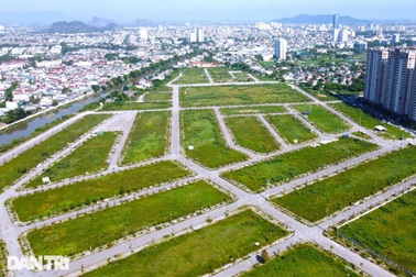 Mặt bằng nghìn tỷ đồng giữa lòng thành phố Thanh Hóa thành nơi thả bò