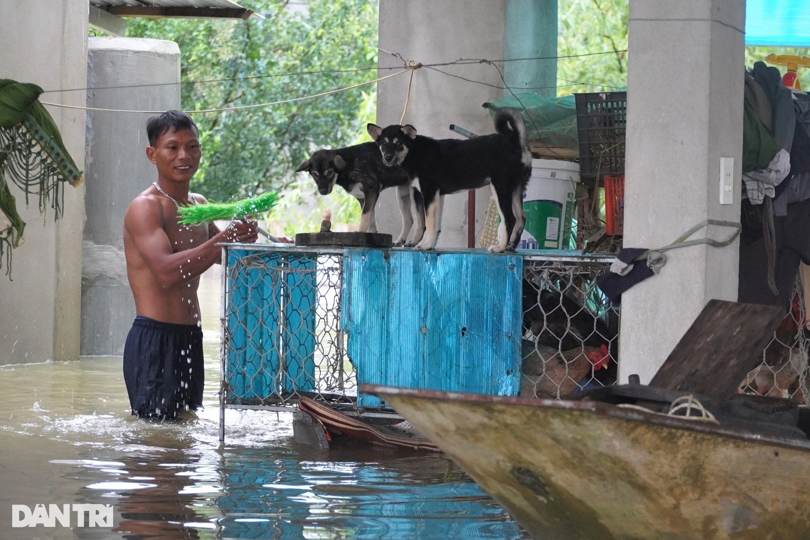 View - Xóm vạn chài thoát cảnh kéo nhau lên bờ tránh lũ sông Lam | Báo Dân trí