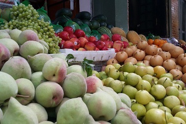 Sử dụng iCheck Scanner truy tìm xuất xứ trái cây “bẩn”