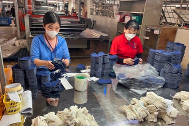 Loạt "ông lớn" ở Bình Định chậm đóng bảo hiểm, hàng nghìn người ảnh hưởng