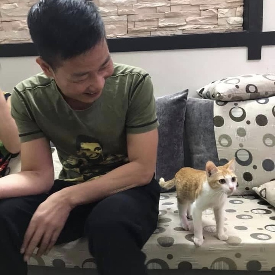 Chú mèo “nổi nhất” mạng xã hội nhờ “vai diễn” trong clip hướng dẫn tắm - 2 Chú mèo “nổi nhất” mạng xã hội nhờ “vai diễn” trong clip hướng dẫn tắm - 2