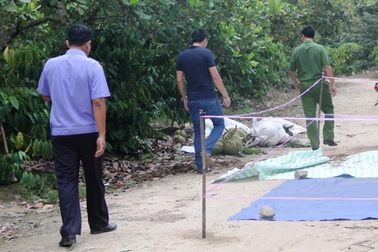 Chém chết kẻ trộm rồi về nhà uống thuốc sâu tự tử