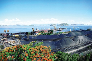 Năng suất lao động ngành Than tăng 10% so với cùng kỳ năm ngoái