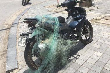 CSGT Thanh Hóa tiếp tục “quăng lưới” bắt xe vi phạm