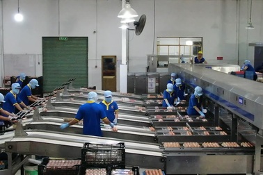 Sự nghiệp của người phụ nữ học "chưa hết lớp năm" có tầm ảnh hưởng thế giới