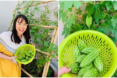 Vườn rau, trái cây xanh mướt mát của gia đình Hải Băng - Thành Đạt