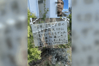 Cụ bà người Nhật chặt bỏ cây, treo biển "dằn mặt" người bẻ cành