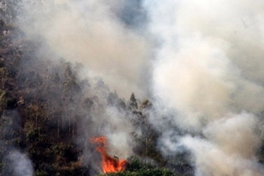 Cháy rừng, mìn nổ đùng đùng