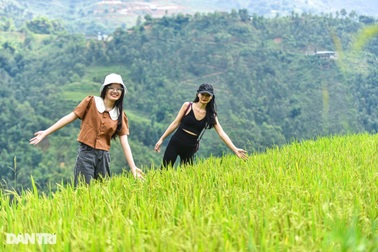 Nhà hàng, khách sạn ở Sapa mở cửa trở lại: "Từ sáng đón về 6 khách vẫn vui"
