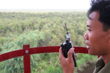 Ngày đêm canh “giặc lửa” ở rừng U Minh Hạ