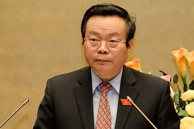 Báo cáo xác nhận 2 trường hợp không đủ tư cách đại biểu Quốc hội