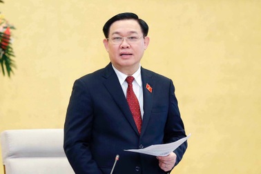 Chủ tịch Quốc hội: Tránh giám sát cơ sở bằng con voi, lên cao thì "gọt" dần