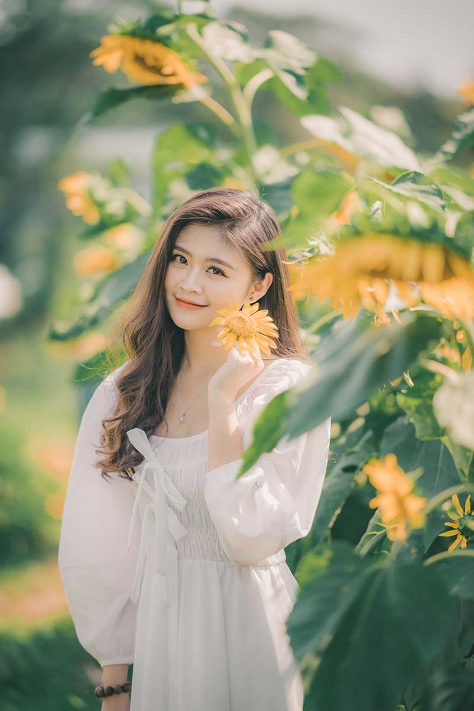 Cựu nữ sinh Ngoại thương khoe sắc bên hoa hướng dương - 3 Cựu nữ sinh Ngoại thương khoe sắc bên hoa hướng dương - 3