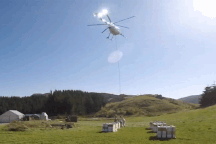 Loại mật ong siêu đắt đỏ, thu hoạch bằng… trực thăng