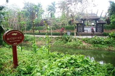 Xử phạt công ty du lịch cao cấp gây ô nhiễm môi trường