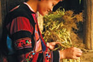 Tây Bắc những điều lạ... 