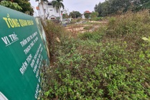 Dấu hiệu mới trên thị trường bất động sản