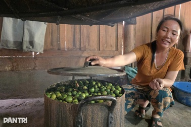 Loại quả gợi nhớ thời khó khăn nay giúp dân bản thu nhập khá