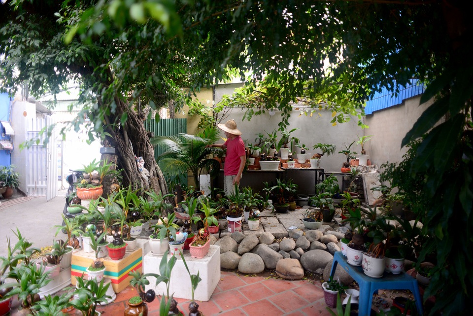 Bonsai hình chuột.jpg Bonsai hình chuột.jpg