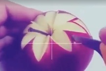 Clip tỉa hoa cực đẹp dành cho bà nội trợ