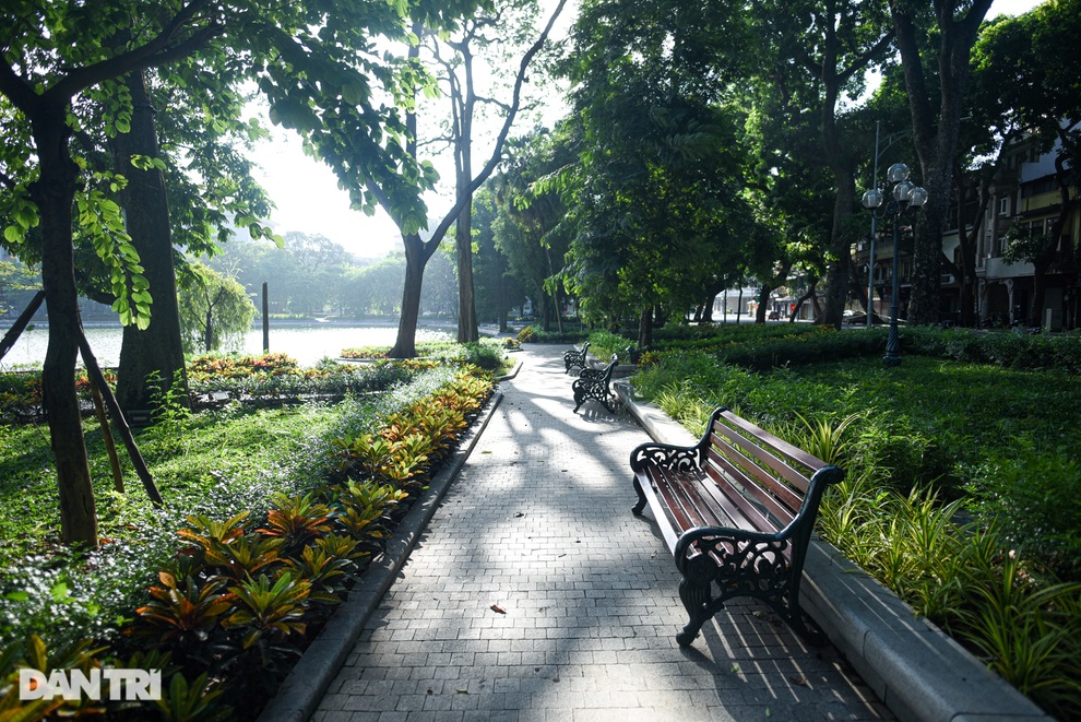 Hà Nội lặng lẽ chuyển mùa giữa thời đại dịch Covid-19 - 5 Hà Nội lặng lẽ chuyển mùa giữa thời đại dịch Covid-19 - 5