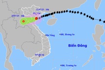 Ba giờ qua bão Wipha ít di chuyển, vẫn mạnh cấp 8 giật cấp 10