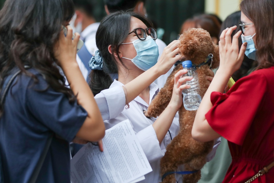 Bày tỏ về trân trọng cuộc sống, thí sinh khen đề Văn hay - 1 Bày tỏ về trân trọng cuộc sống, thí sinh khen đề Văn hay - 1