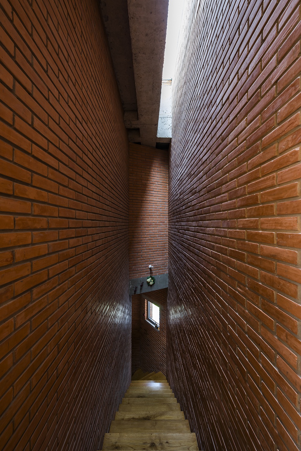 Căn nhà như vườn treo xanh mát tại TP Hồ Chí Minh, ai nhìn cũng muốn ở - 15