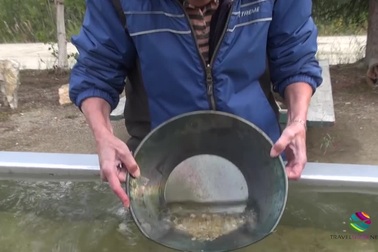 Cơn sốt vàng ở Klondike