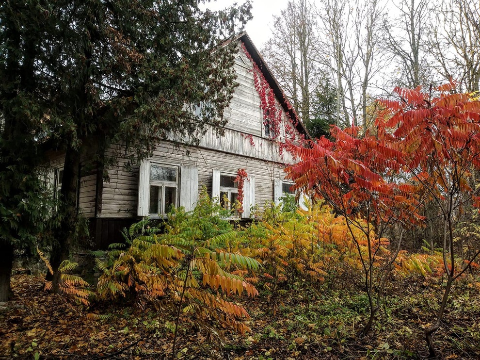 Chi tiền mua mảnh đất hoang, cặp đôi tha hồ ăn rau sạch mỗi ngày - 2 Chi tiền mua mảnh đất hoang, cặp đôi tha hồ ăn rau sạch mỗi ngày - 2