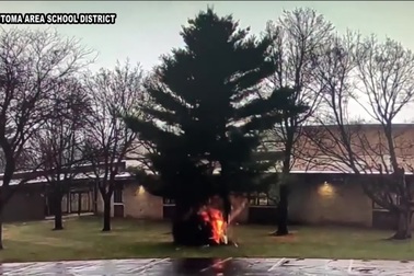 Cận cảnh khoảnh khắc tia sét "đốn hạ" cây lớn giữa sân trường