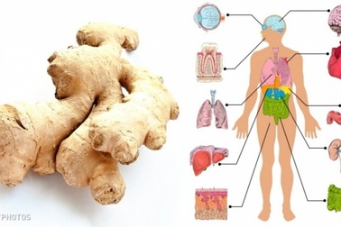 Điều gì xảy ra khi bạn ăn gừng hằng ngày trong 1 tháng