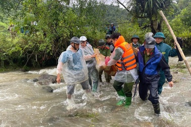 Đi sang nhà bạn chơi, người đàn ông ngã xuống suối tử vong