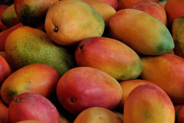 Úc: Đến lượt xoài bị găm kim khâu bên trong