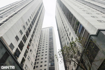 3 luật Kinh doanh Bất động sản, Nhà ở, Đất đai có thể hiệu lực từ 1/8