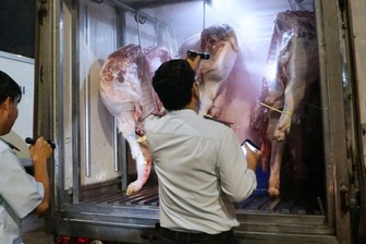 Giám đốc Sở ATTP nói lý do heo có vòng nhận diện nhưng không thể… nhận diện