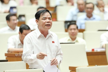 Quốc hội "truy" giá thịt lợn, Bộ trưởng Nông nghiệp khuyên nên ăn… gà, cá!